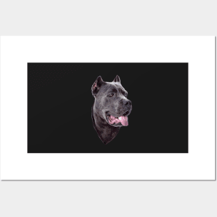 Cane Corso Dog Posters and Art